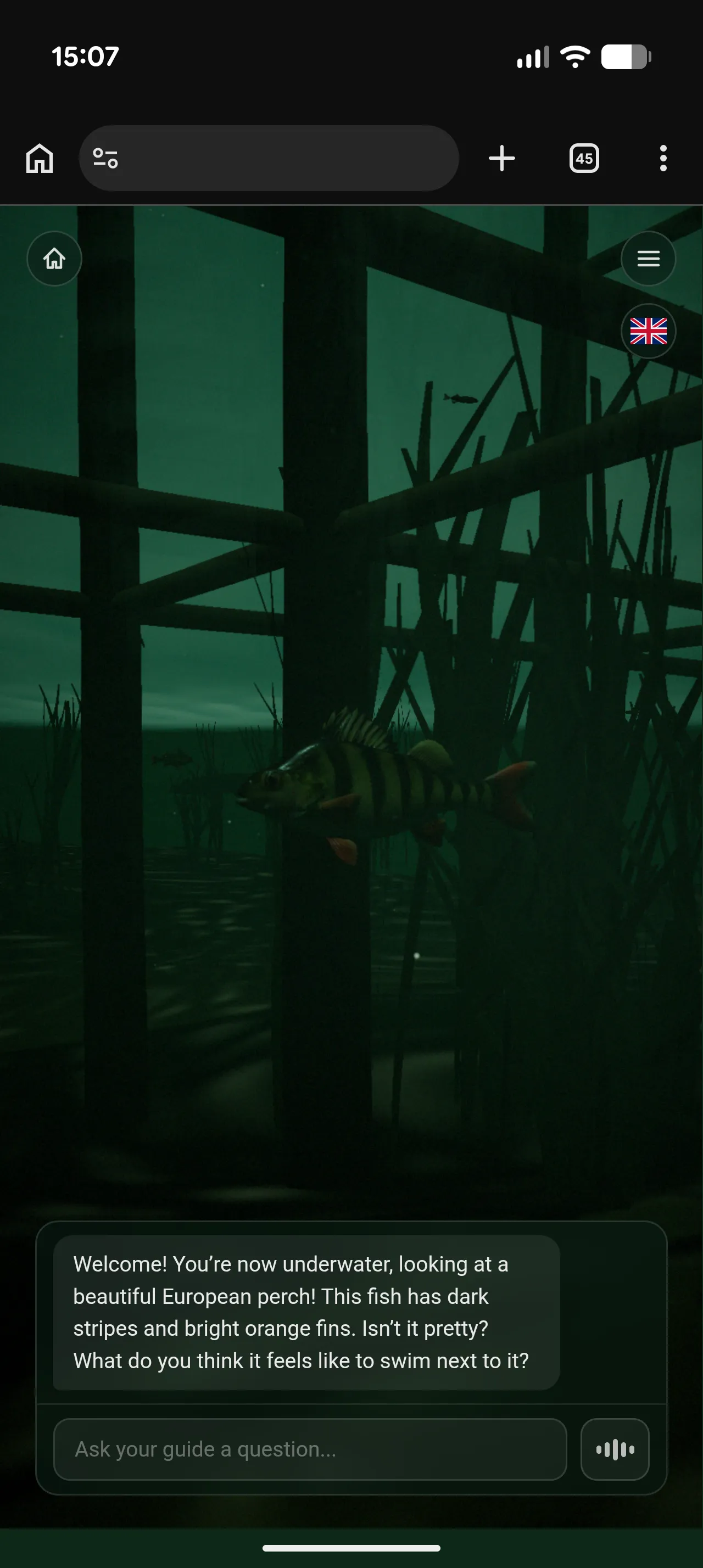 The Baltic Sea expedition running on mobile - AI-guided underwater exploration