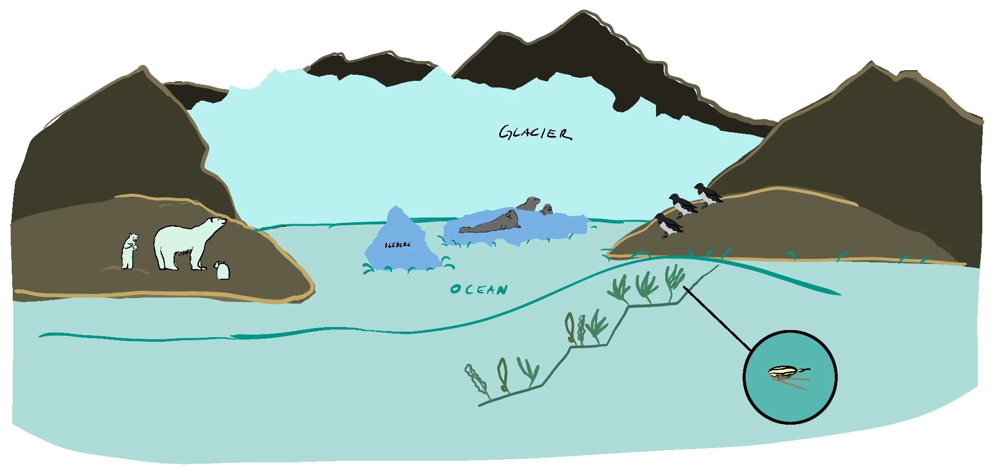 3D-captured Arctic underwater environment